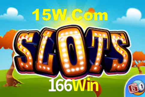 Premium Interface 166Win